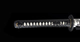 Zugaikotsu Carbon Steel Katana Samurai Sword